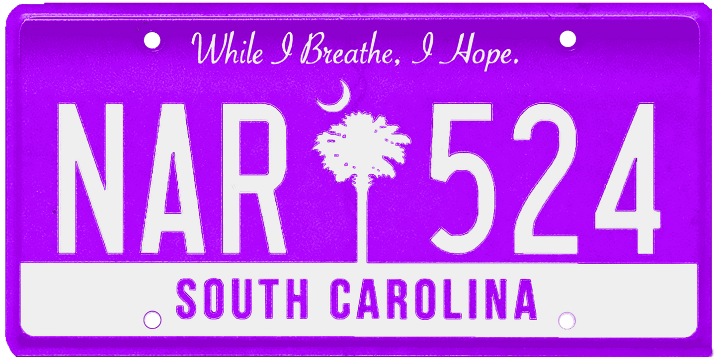 South Carolina License Plate Wrap Kit