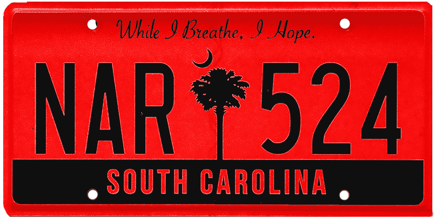 South Carolina License Plate Wrap Kit