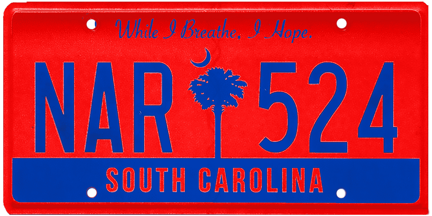 South Carolina License Plate Wrap Kit