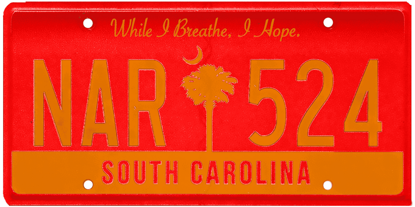 South Carolina License Plate Wrap Kit