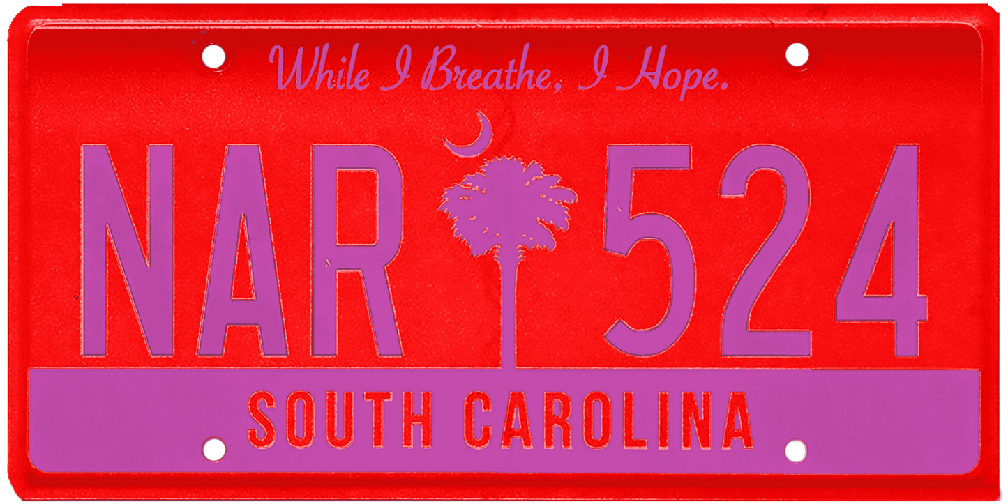 South Carolina License Plate Wrap Kit