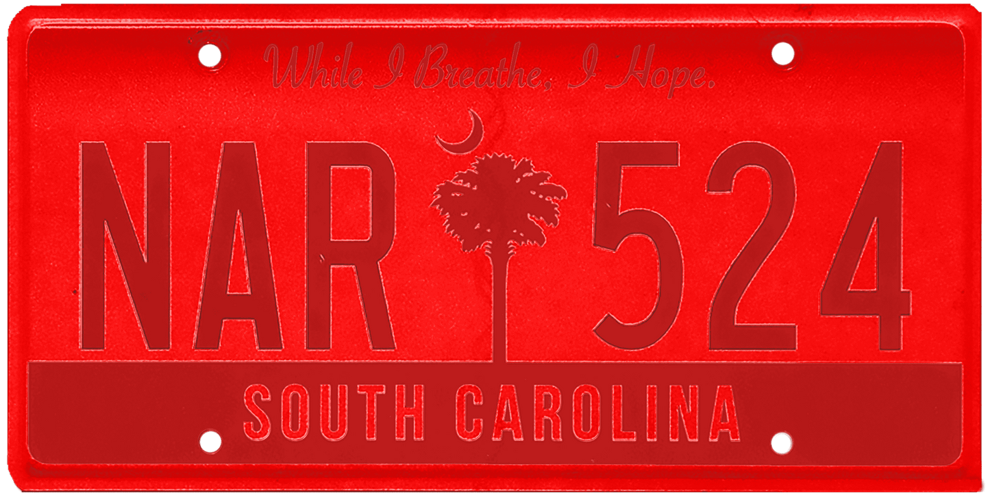 South Carolina License Plate Wrap Kit