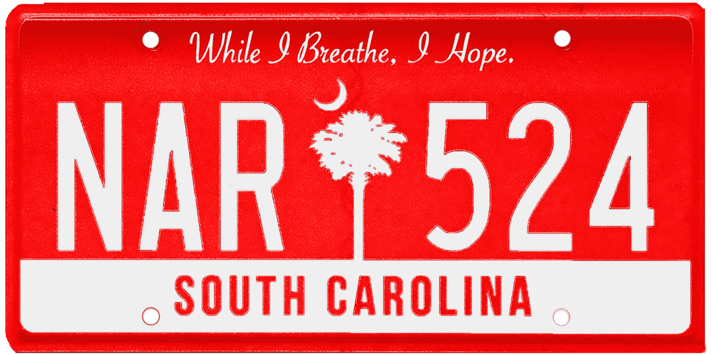 South Carolina License Plate Wrap Kit