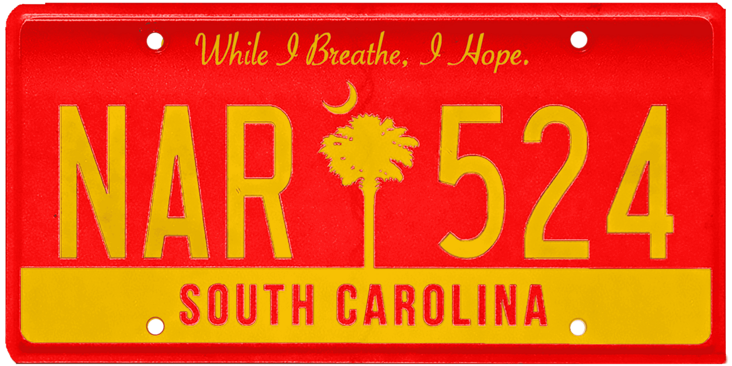 South Carolina License Plate Wrap Kit