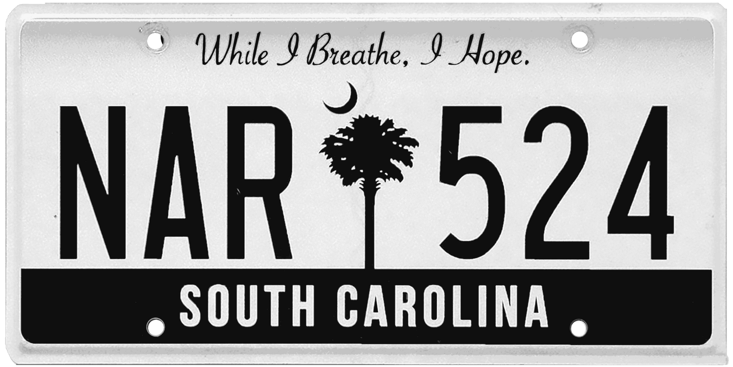 South Carolina License Plate Wrap Kit