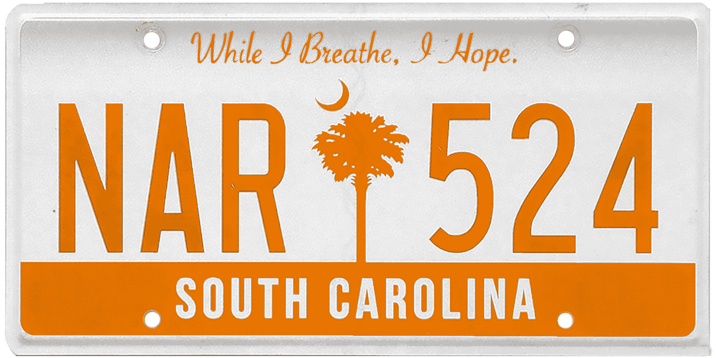 South Carolina License Plate Wrap Kit