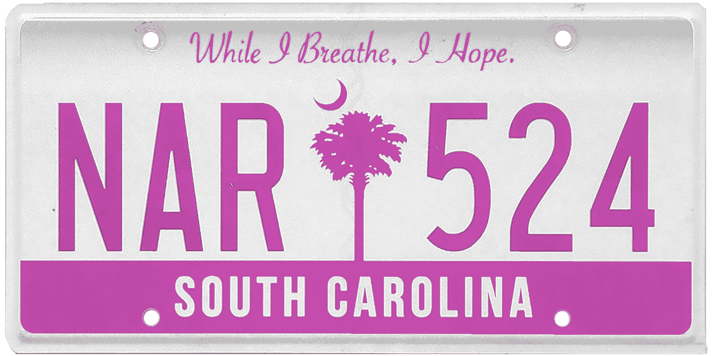 South Carolina License Plate Wrap Kit