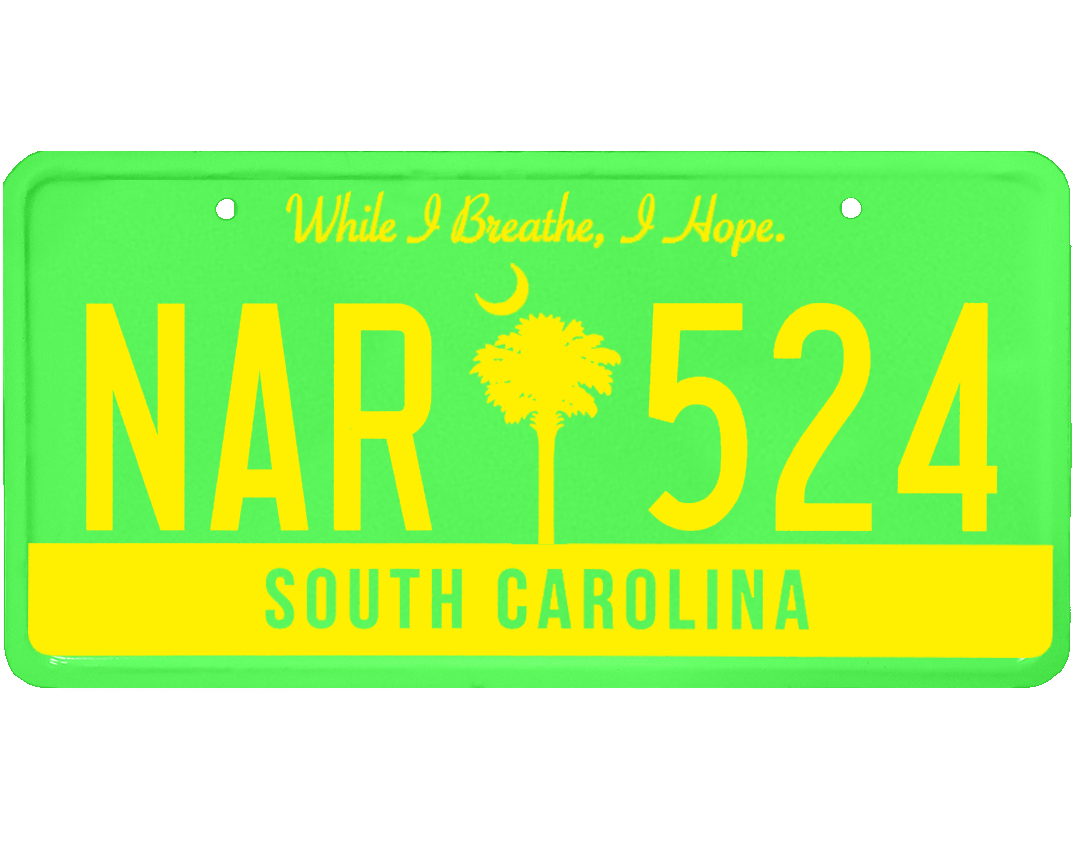South Carolina License Plate Wrap Kit