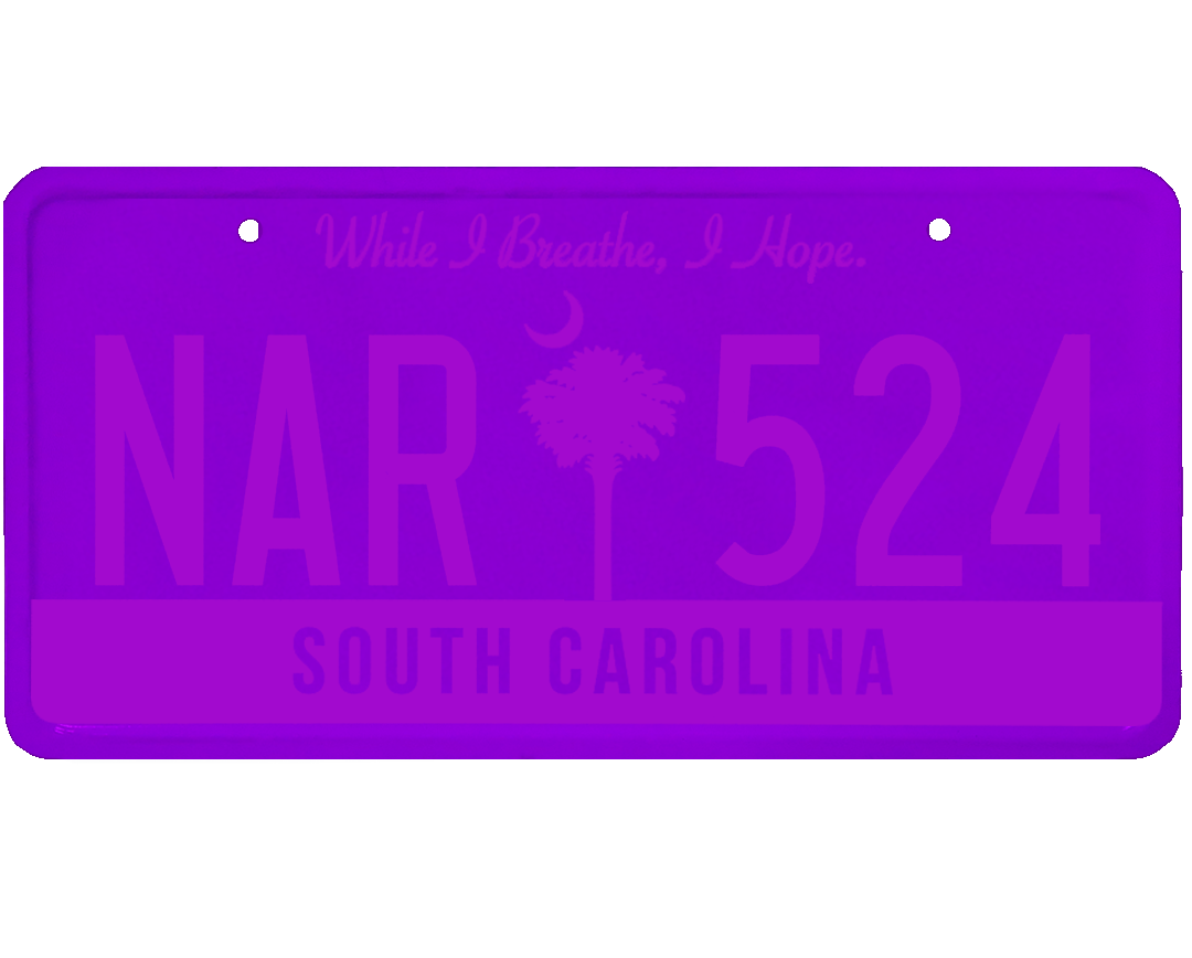 South Carolina License Plate Wrap Kit
