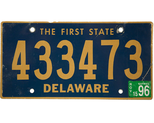 delaware-license-plate-wrap-kit