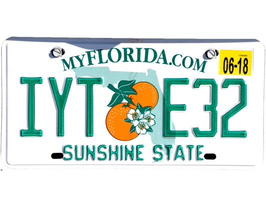 florida-license-plate-wrap-kit