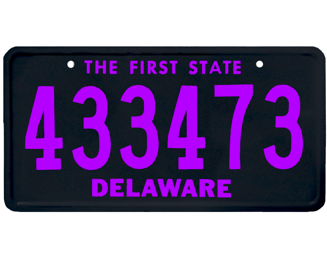 Delaware License Plate Wrap Kit