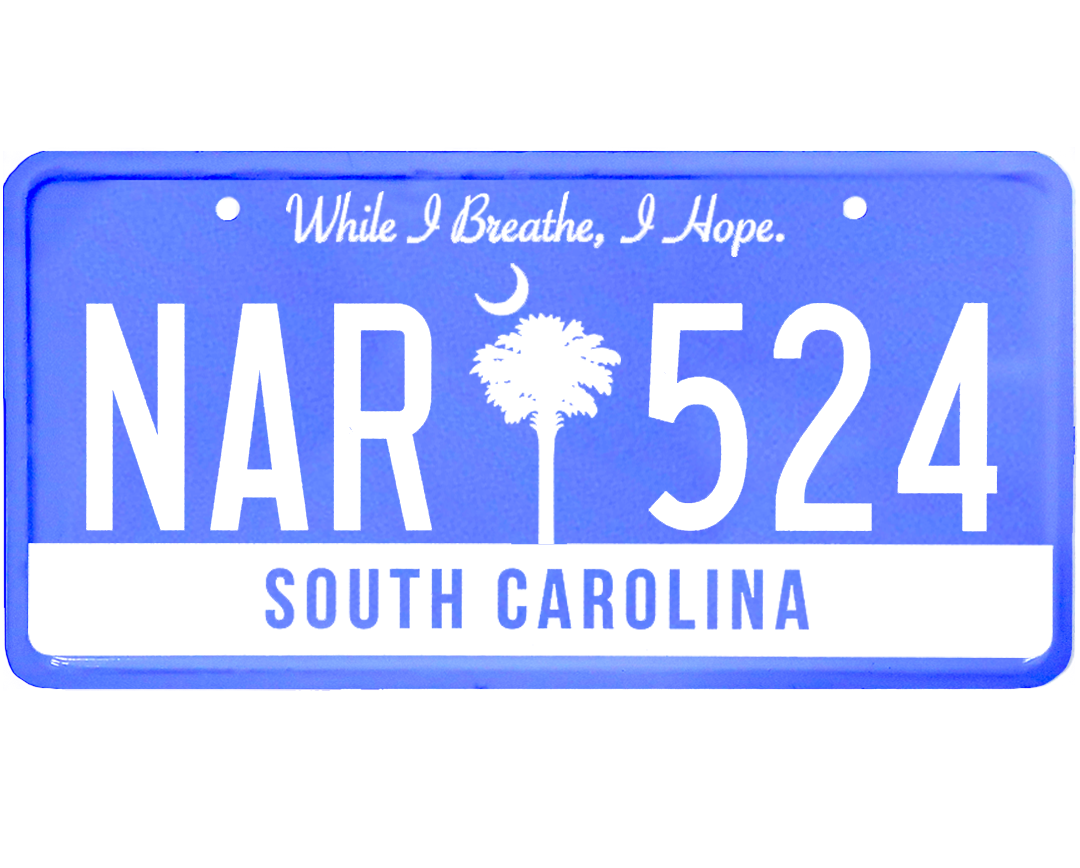 south-carolina-license-plate-wrap-kit