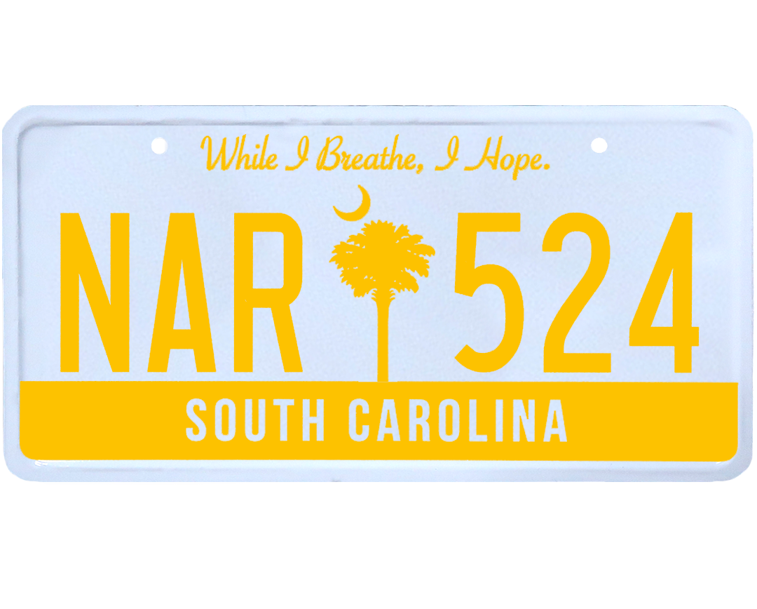south-carolina-license-plate-wrap-kit