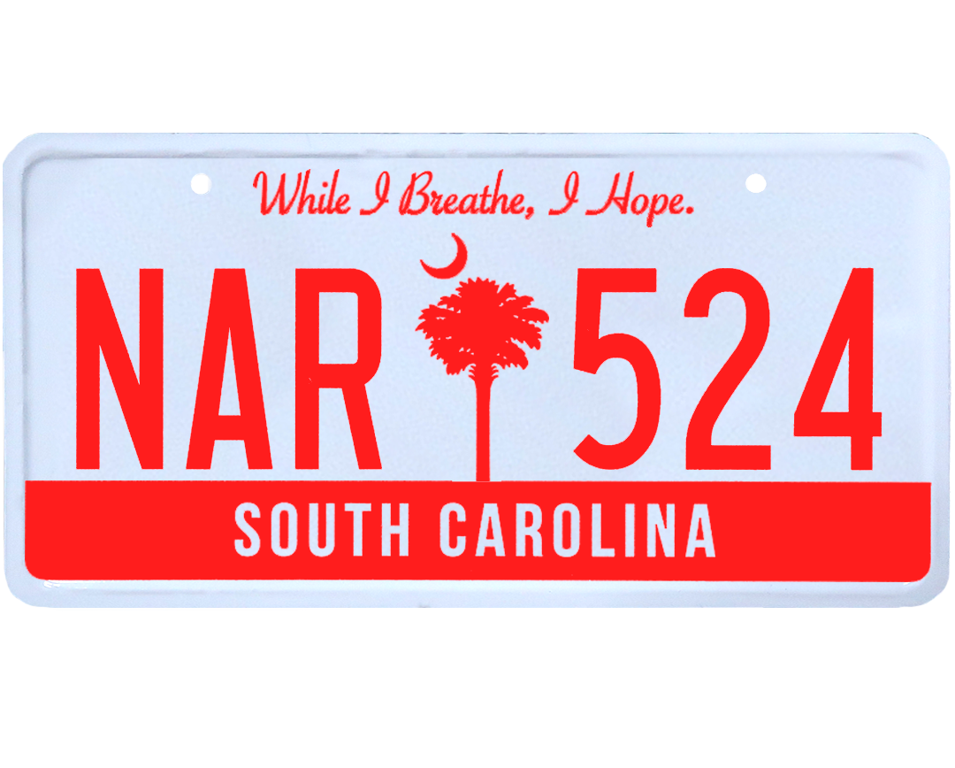 South Carolina License Plate Wrap Kit PlateWraps
