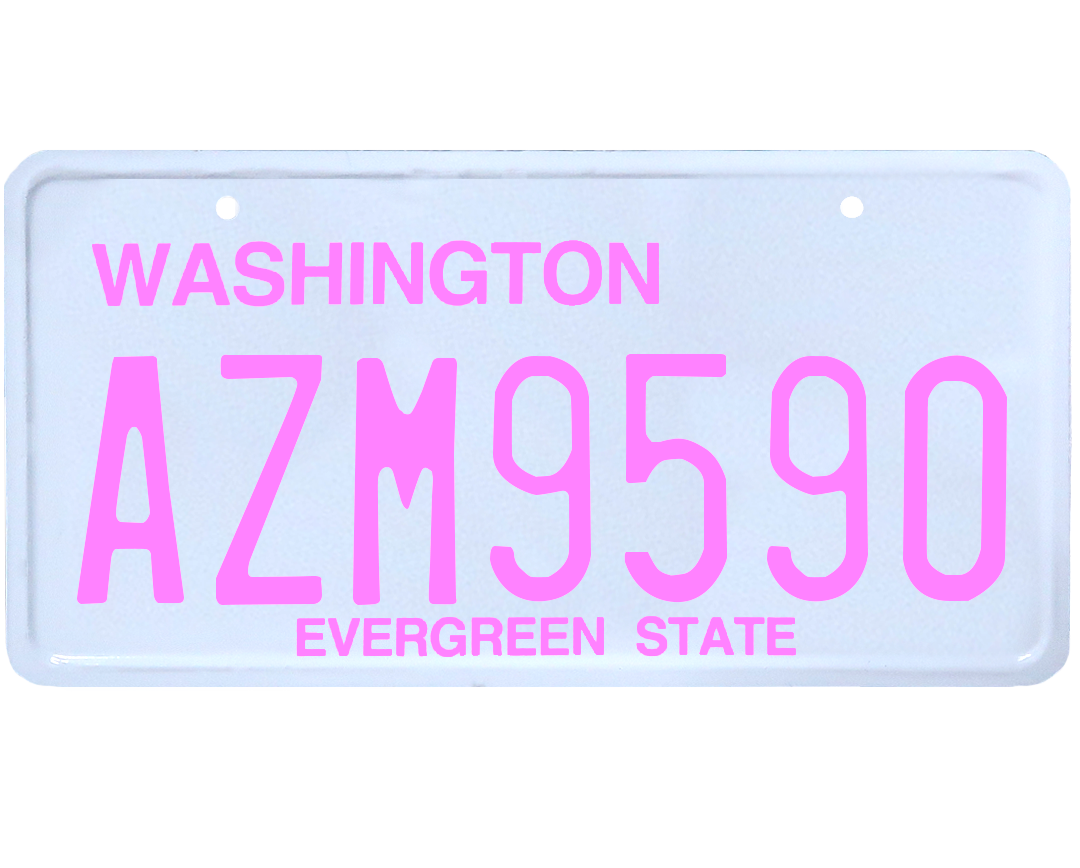 Washington License Plate Wrap Kit